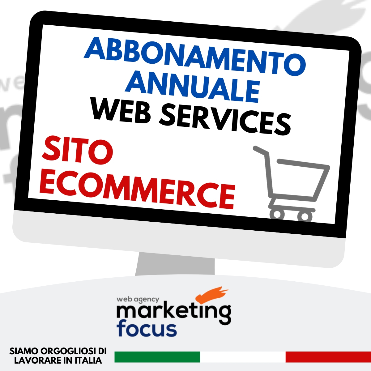 Abbonamento Web Services – Annuale – Siti Ecommerce